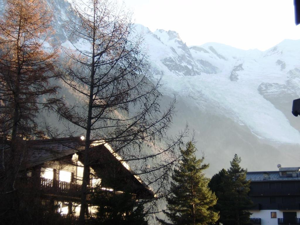 Studio Les Drus / Studio Du Brevent Chamonix Ngoại thất bức ảnh